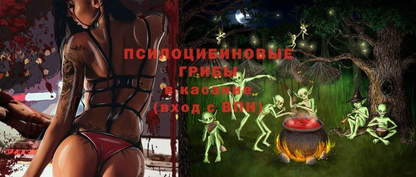 хмурый Абинск