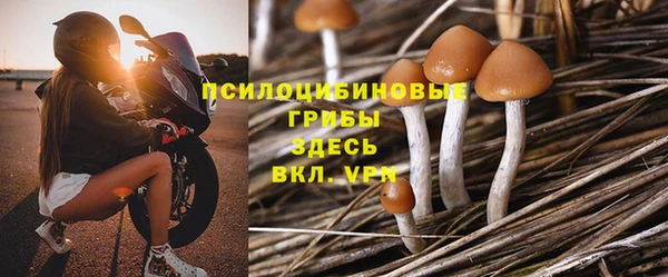 стаф Абаза
