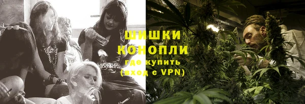 шишки Кукмор