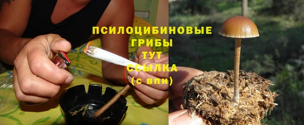 винт Куйбышев