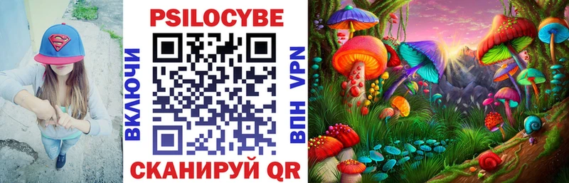 Галлюциногенные грибы прущие грибы  Ядрин 